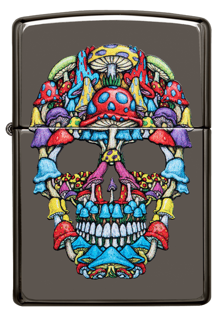 Zippo 49135 skull design