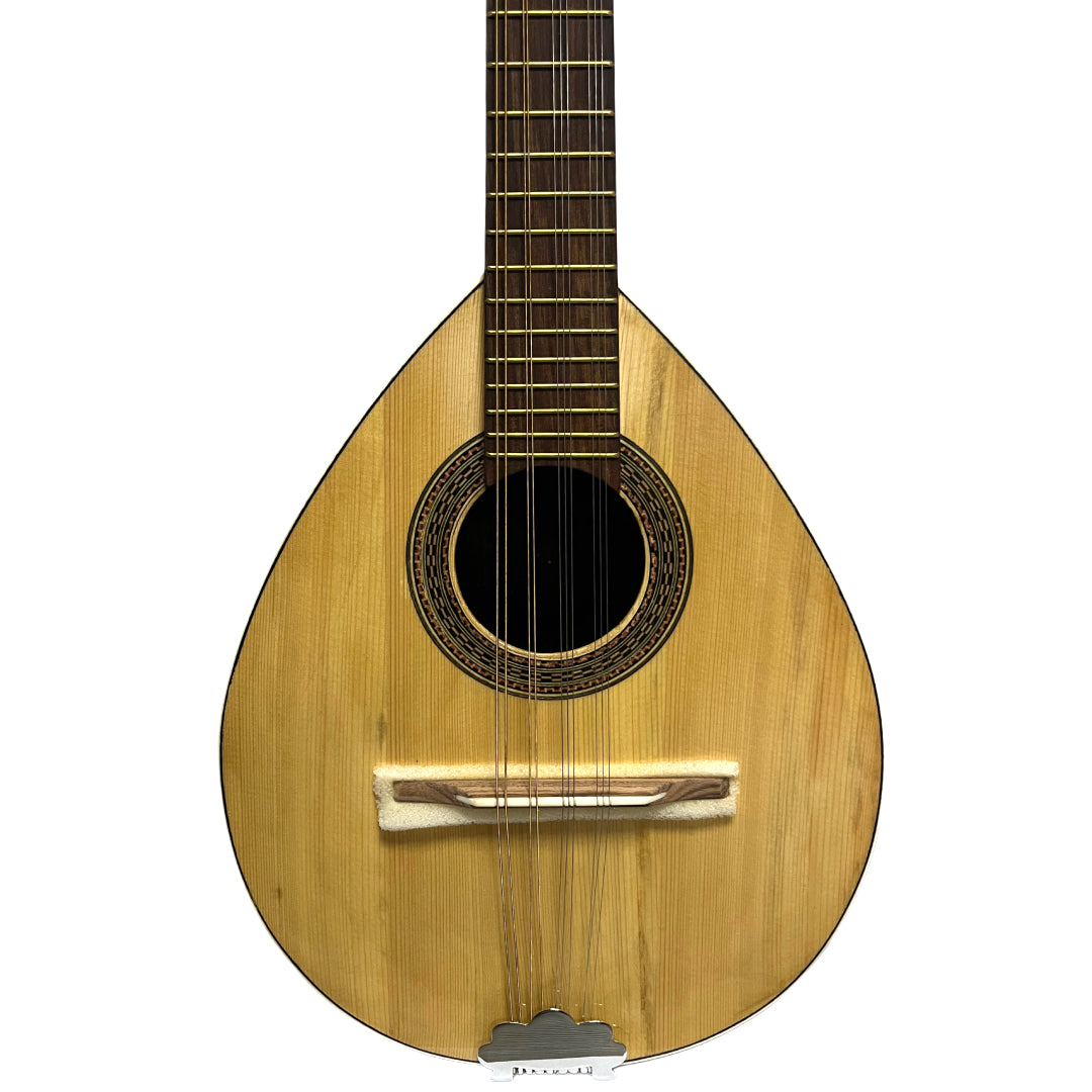 MANDOLINA DE 10 CUERDAS CON FUNDA CASTELLON