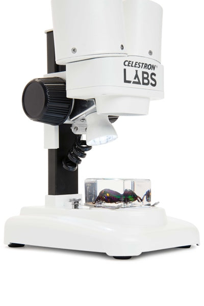Microscopio Celestron Labs s20 Stereo microscope