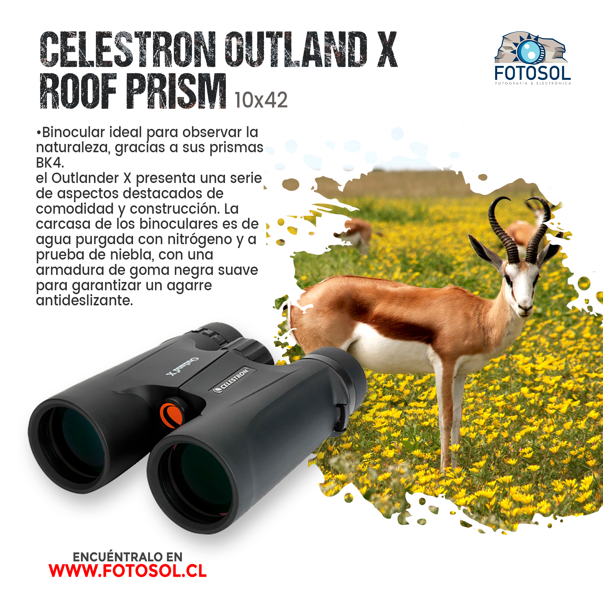 Binocular Celestron Outland X Roof Prism 10x42