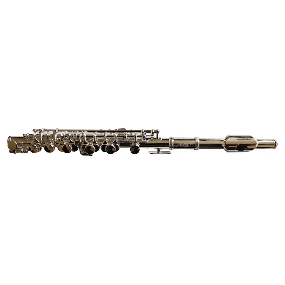 Flauta Traversa Allegro Silver (ALL6456S)