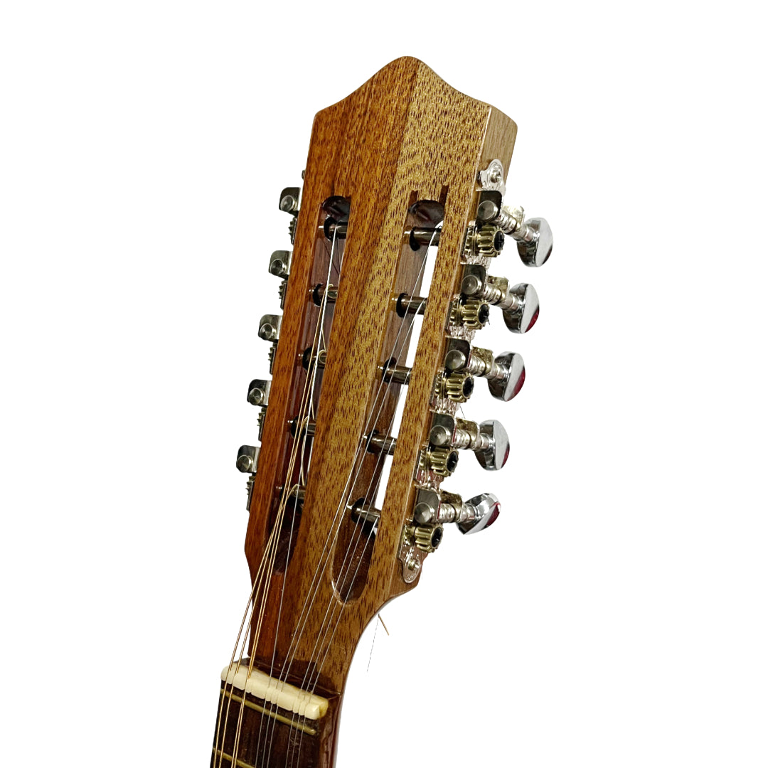 MANDOLINA DE 10 CUERDAS CON FUNDA CASTELLON