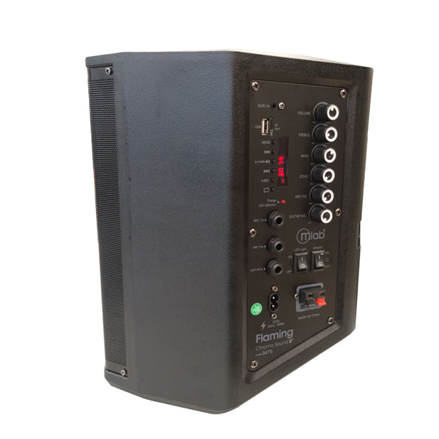 PARLANTE 8" + MICROFONO BT RGB FLAMING CHROMA SOUND MLAB 9479