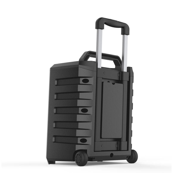 PARLANTE BT KARAOKE TTKS800BT TARGET