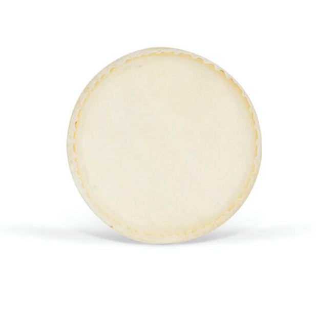 Parche para Bongo 6.5" CS004 GCR