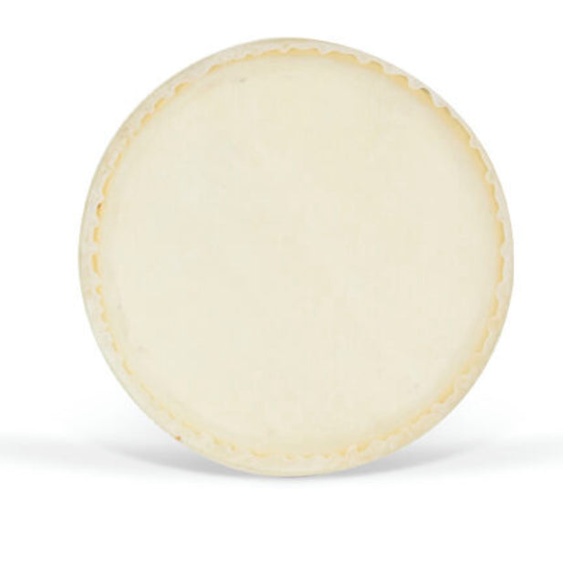 Parche para Bongo 7.5" CS004 GCR