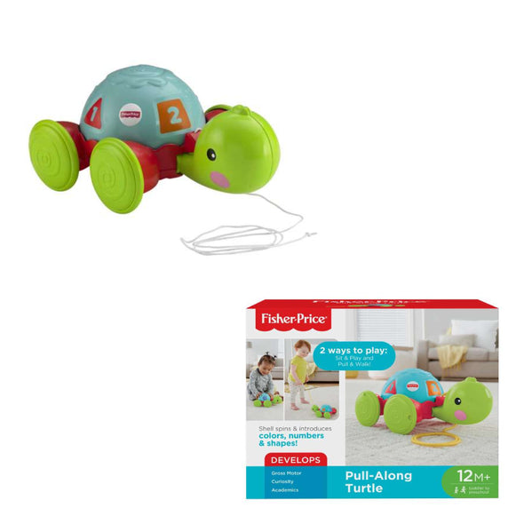 TORTUGA DE APRENDIZAJE FISHER-PRICE Y8652