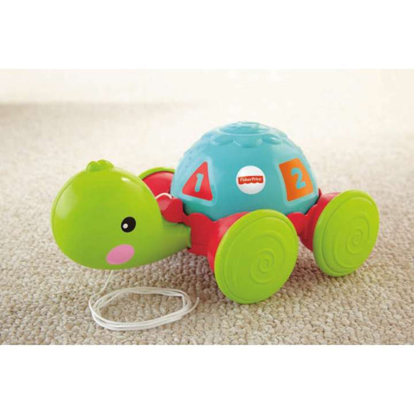 TORTUGA DE APRENDIZAJE FISHER-PRICE Y8652