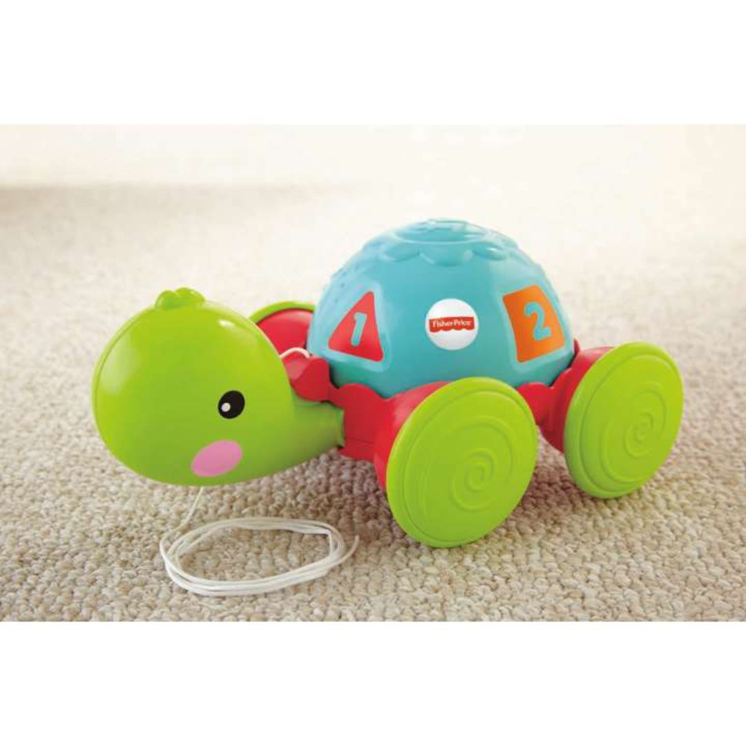 TORTUGA DE APRENDIZAJE FISHER-PRICE Y8652