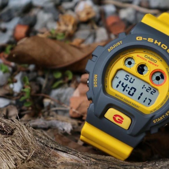 RELOJ CASIO G-SHOCK DW 6900Y 9DR