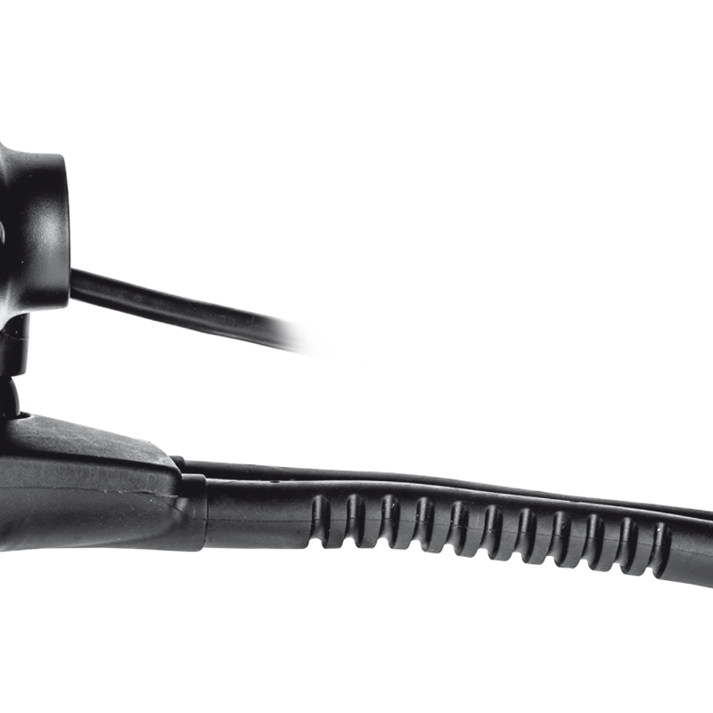 Camara Web  TRINO  Trust