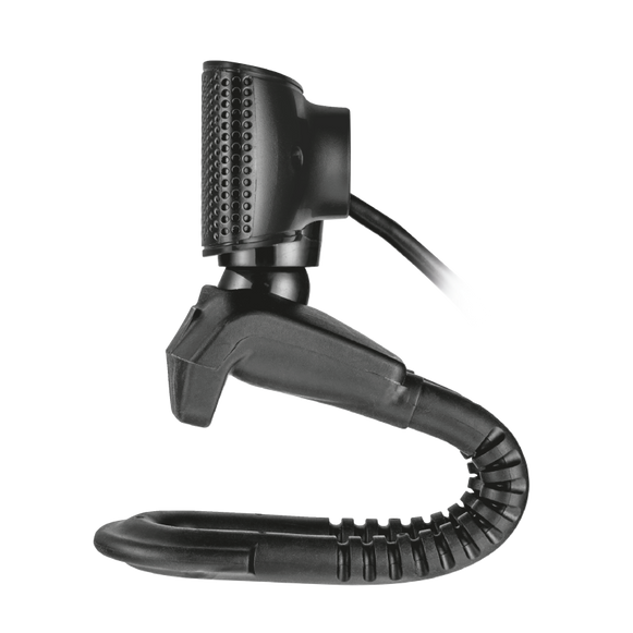 Camara Web  TRINO  Trust