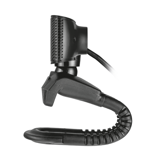 Camara Web  TRINO  Trust