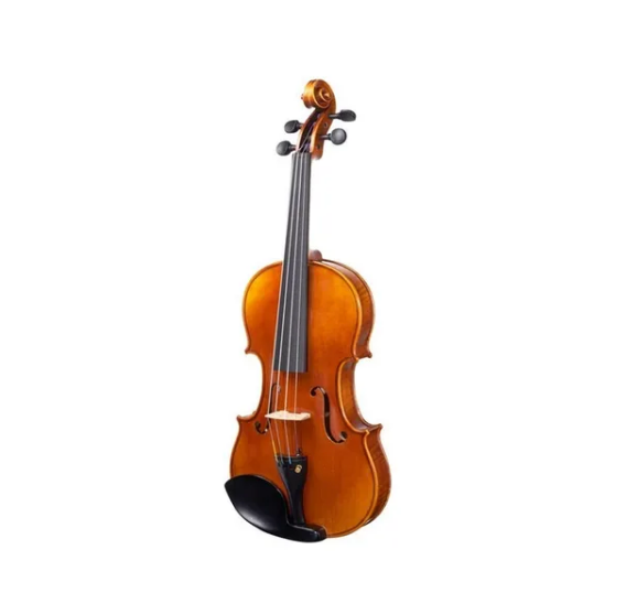 Violin  Livorno LIV-10 4/4