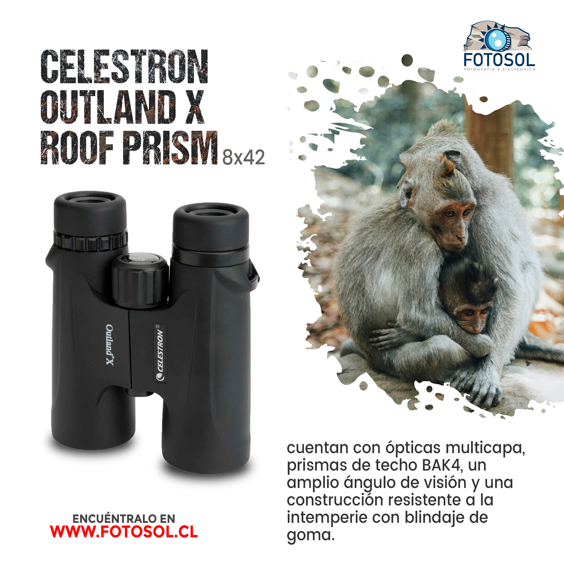 Binocular Celestron Outland X 8x42 Roof Prism Bak-4 Resistente Agua Observación Aves