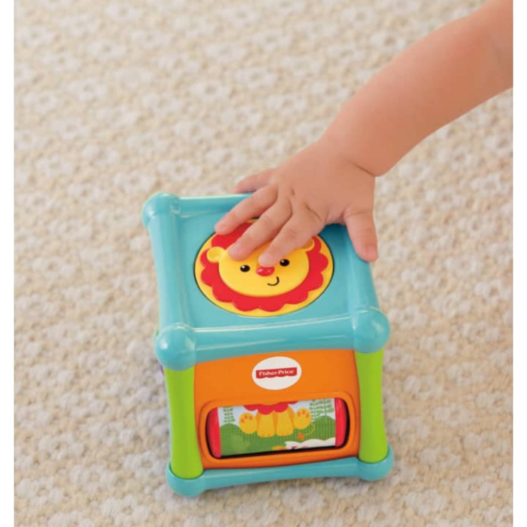 CUBO ANIMALES FISHER-PRICE BFH80