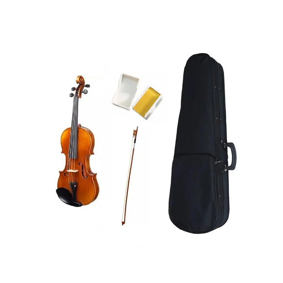 Violin  Livorno LIV-50 4/4