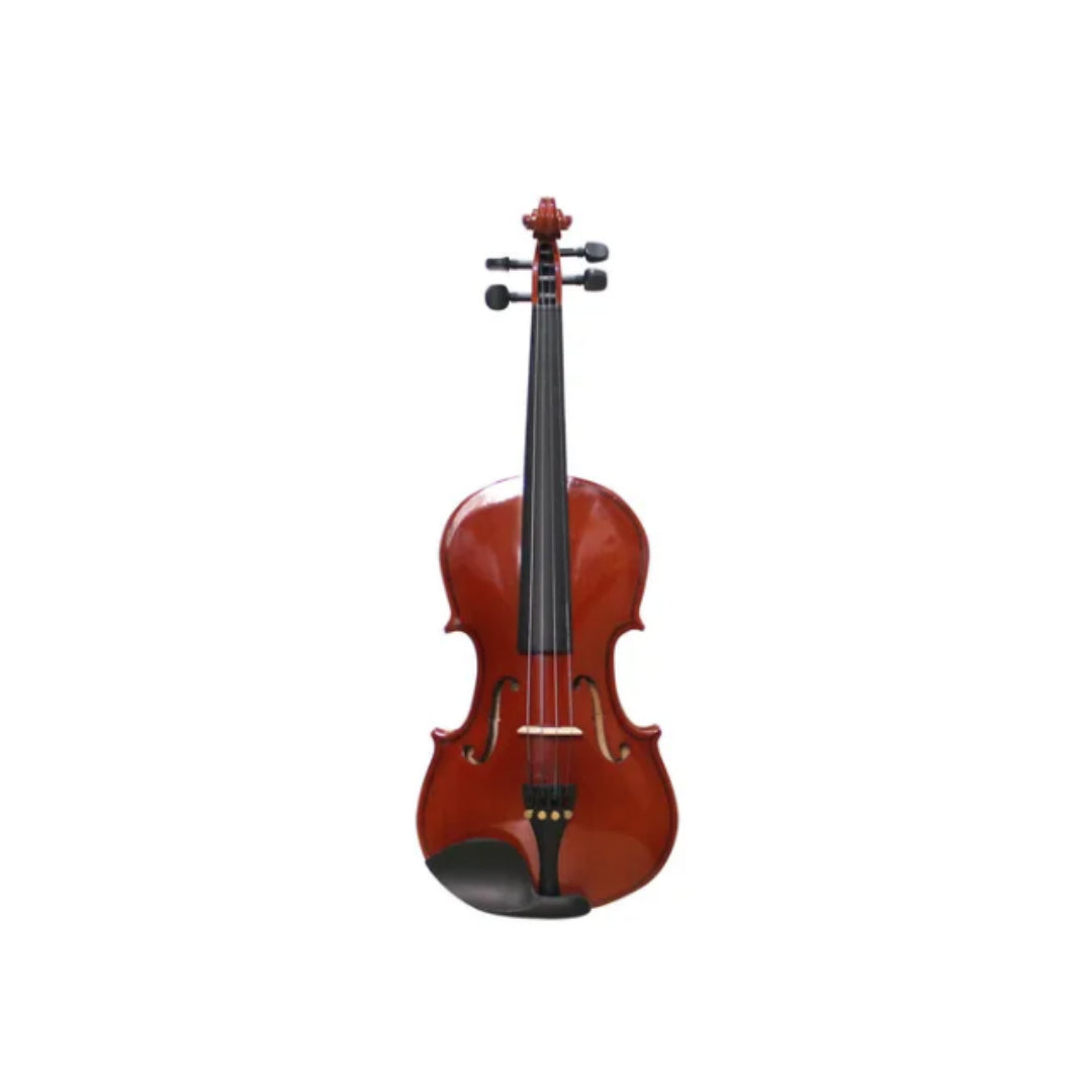 Violin  Livorno LIV-50 4/4